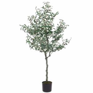drzewko-oliwne-h156867.png
