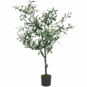 drzewko-oliwne-h120549.png