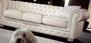ekskluzywna-sofa-alioth-skora-naturalna-doimo-salotti-import-wlochy416.jpg